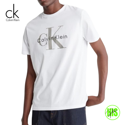 Calvin Klein T-Shirt (Small)